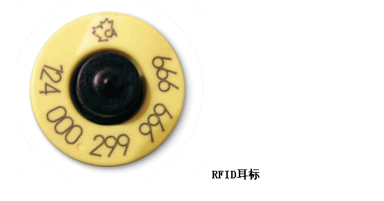 牛耳標(biāo)2.png